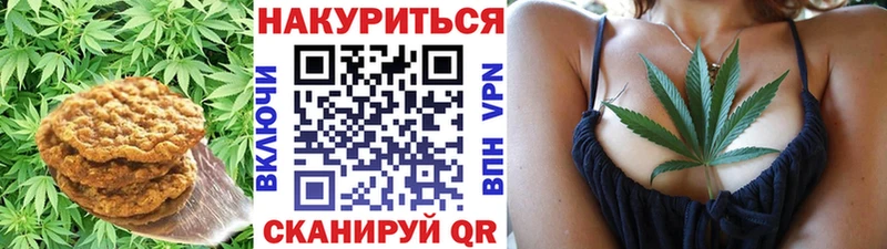 Canna-Cookies марихуана  Судак 