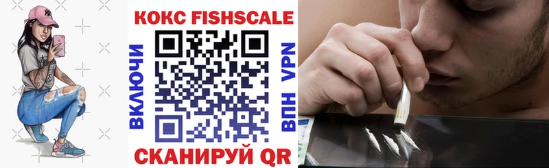 COCAIN FishScale Судак