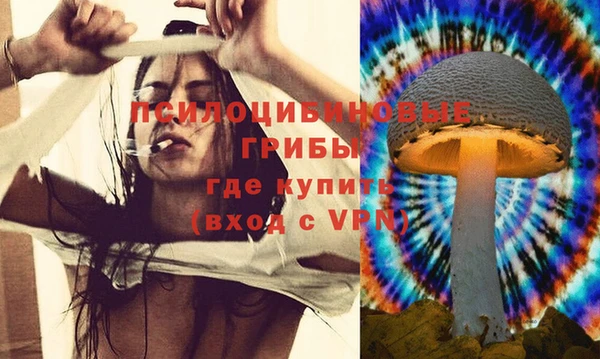 стафф Балабаново