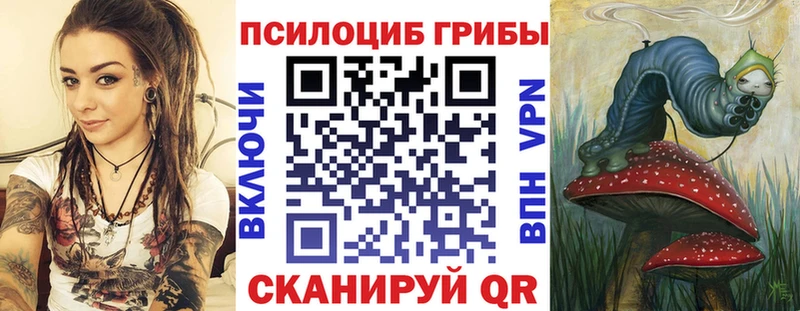 Псилоцибиновые грибы мухоморы  mega ТОР  Судак  купить наркотик 