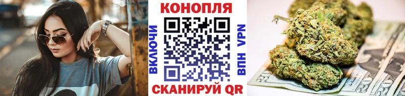Конопля гибрид  это состав  Судак  закладки 